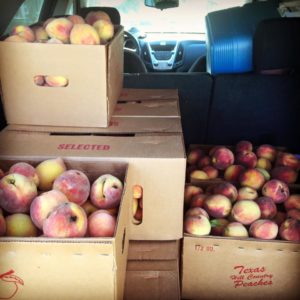 Hill Country Peaches - #1's