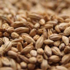 Dingemans Belgian Pale Ale Malt