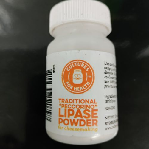 Traditional "Peccorino" Lipase Powder
