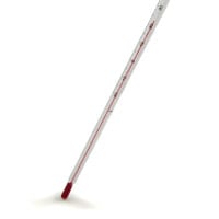 Black Labrador Thermometer