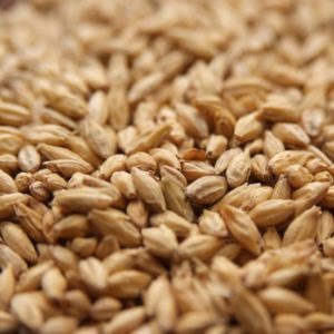 Rahr Domestic 2-Row Malt