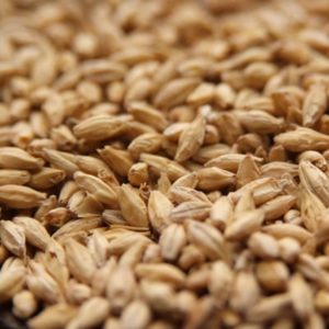 Rahr Premium Pilsner Malt
