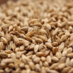 Rahr Domestic 6-Row Malt
