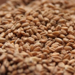 Rahr Red Wheat Malt