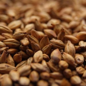 Simpsons Aromatic Malt