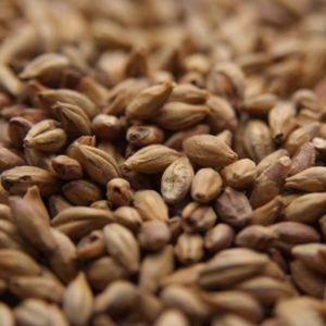 Dingemans Biscuit Malt