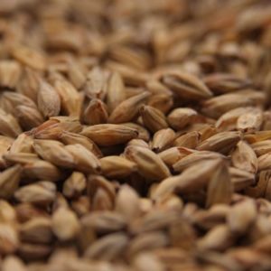 Gambrinus Honey Malt