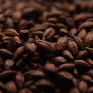 Briess Chocolate Malt