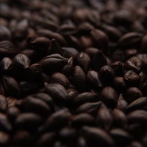 Crisp Dark Roasted Barley