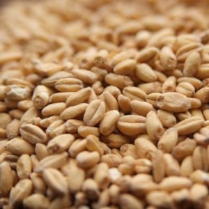 Rahr White Wheat Malt