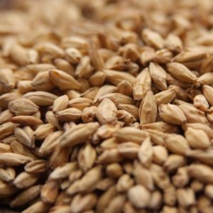 Rahr Domestic Pale Ale Malt - 55 lb