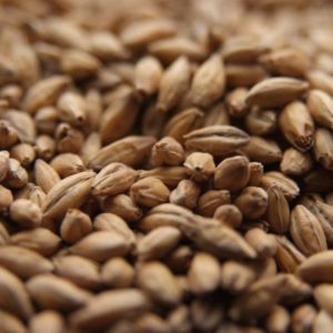 Crisp Finest Maris Otter - 55 lb