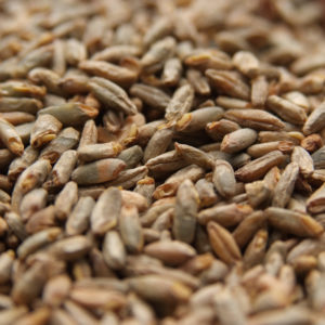 Weyermann® Pale Rye Malt - 55 lb